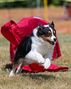 20150613-CCKC-0186.jpg