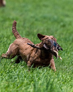 20170603-SEAL-0017.jpg