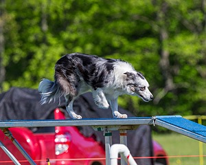 20170520-NEAT-0221.jpg