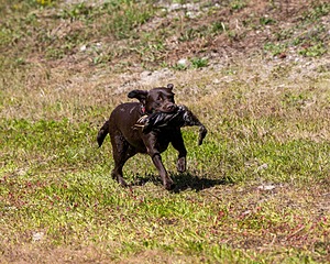 Winnie