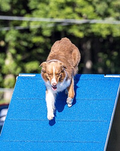 20230917-PVKC-2052.jpg