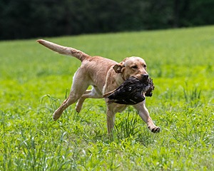 20220604-SHL-1197.jpg