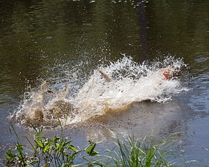 20130601-SHRW-0454.jpg