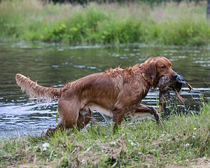 20130714-JHW-0011.jpg