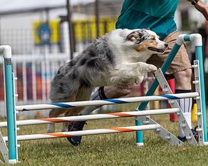 20200819-1112.jpg