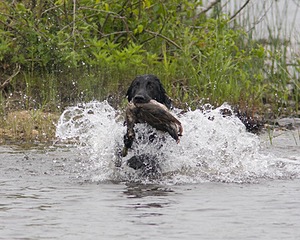20080531-HRW-0954.jpg
