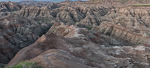 20200617-0605.jpg