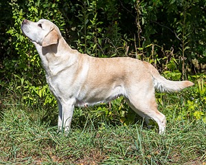 20160924-P-0031.jpg