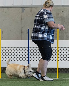 Monty Krapf