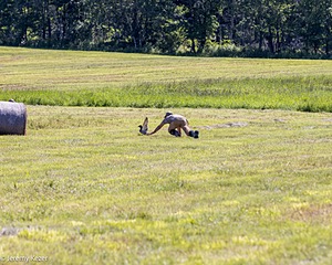 20210724-C-0008.jpg