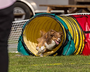 20220917-PVKC-1154.jpg