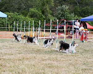 20150614-CCKCMC-0009.jpg