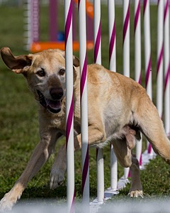 20230916-PVKC-1309.jpg