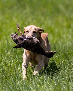 20240720-MH1-0651.jpg