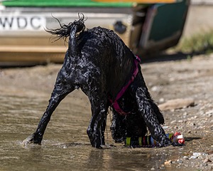 Penny Toby-Ann
