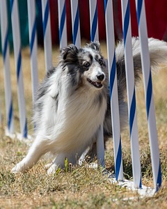 20160618-CCKC-1924.jpg