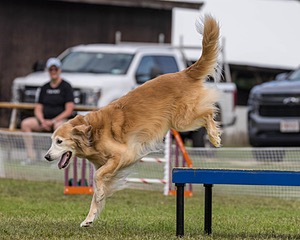 20230917-PVKC-2803.jpg