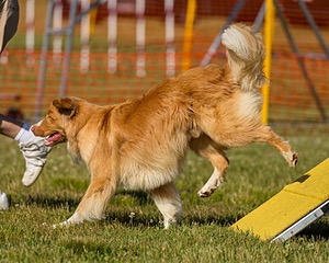 Teddy Davis
