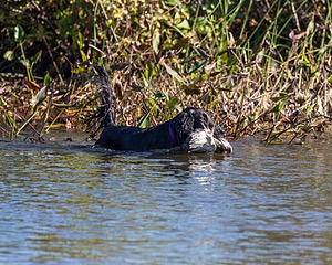 20191005-WCW-0016.jpg