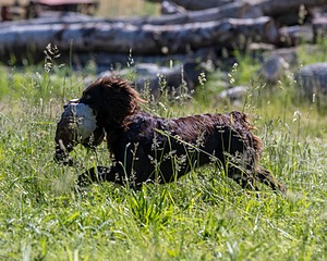 20210606-SEAL-0843.jpg