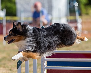 20160618-CCKC-0229.jpg