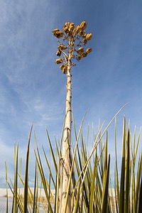 20151209-0128.jpg