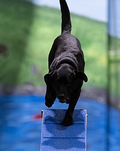 20260221-0907.jpg