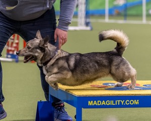 Nova Boentgen