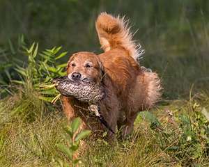 20210807-SHL-0125.jpg