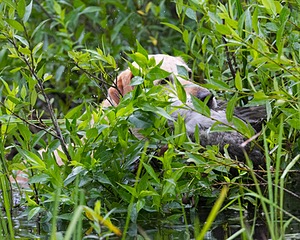 20130713-MHB2-0027.jpg