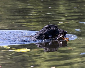 20210606-SEAW-1272.jpg