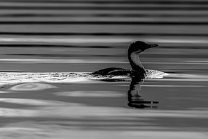 20260327-0156.jpg