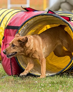 20190616-CCKC-1588.jpg