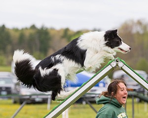 20160515-NEAT-0374.jpg