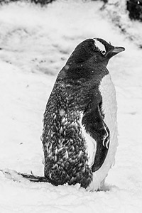20260321-0184.jpg
