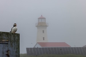 20230711-0736.jpg