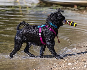 Penny Toby-Ann