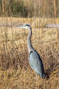 20151206-1752.jpg