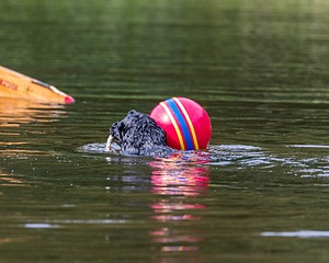20210912-WWD-0366.jpg