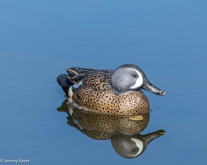 20251004-C-0011.jpg