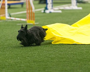 20150322-LEAP-0014.jpg