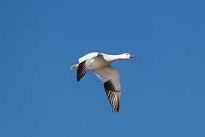 20151206-3233.jpg