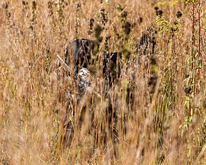 20191005-WCL-0036.jpg
