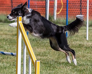 20200819-0688.jpg