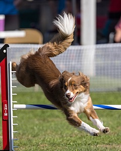 20220917-PVKC-0201-Edit.jpg