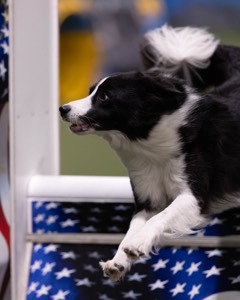 20260221-0095.jpg