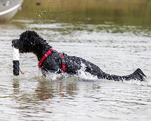 Ollie McCann