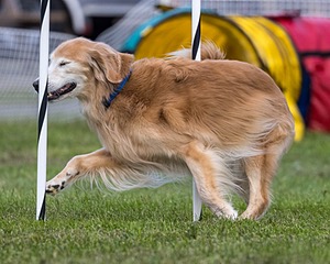 20230917-PVKC-2794.jpg