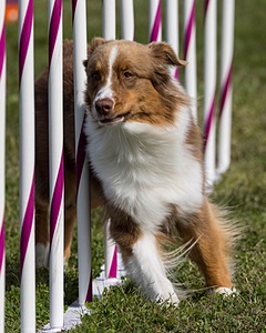 20230916-PVKC-1276.jpg