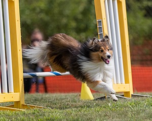 20200819-1091.jpg